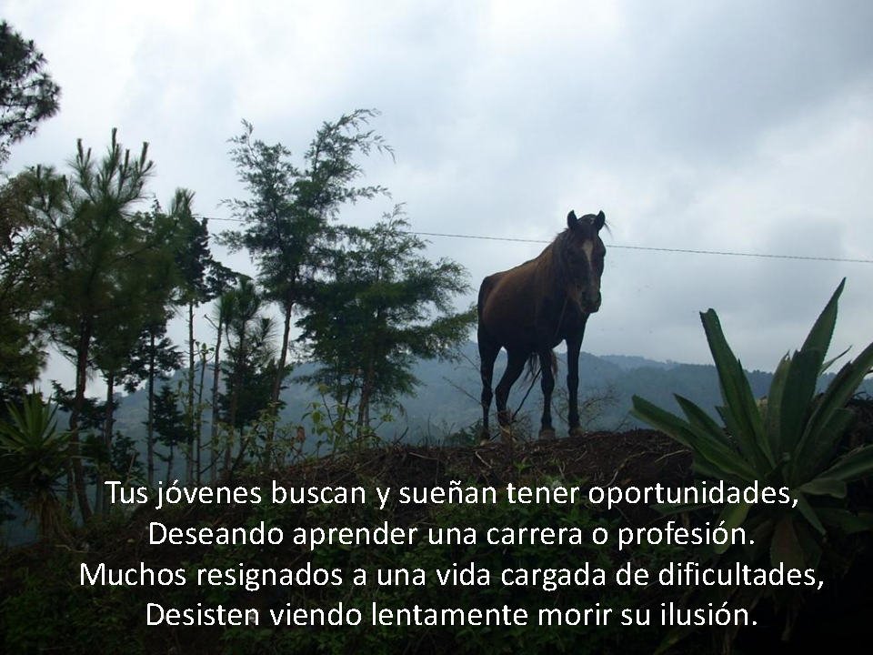 Poemas-ElSalvador