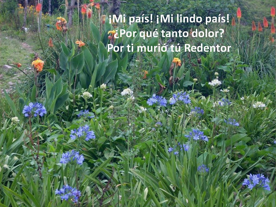 Poemas-ElSalvador