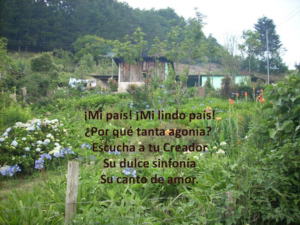 Poemas-ElSalvador